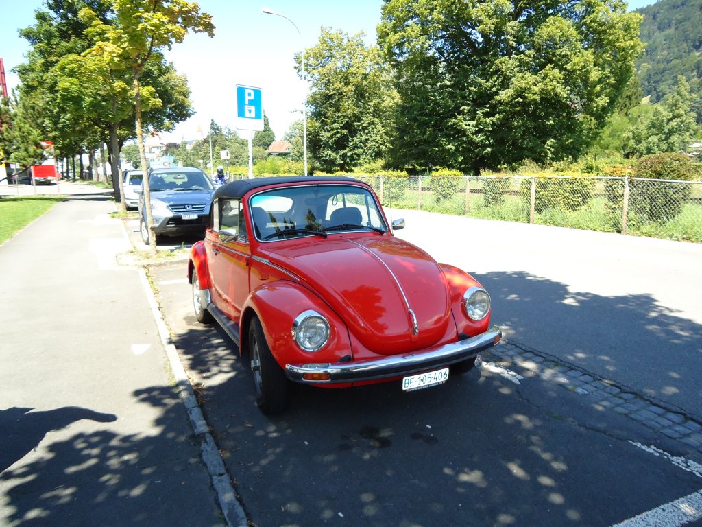 (128'172) - VW-Kfer - BE 105'406 - am 1. August 2010 in Thun, Rosenau