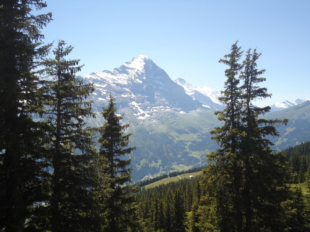 (134'700) - Aussicht vom Waldspitz bei Grindelwald am 3. Juli 2011