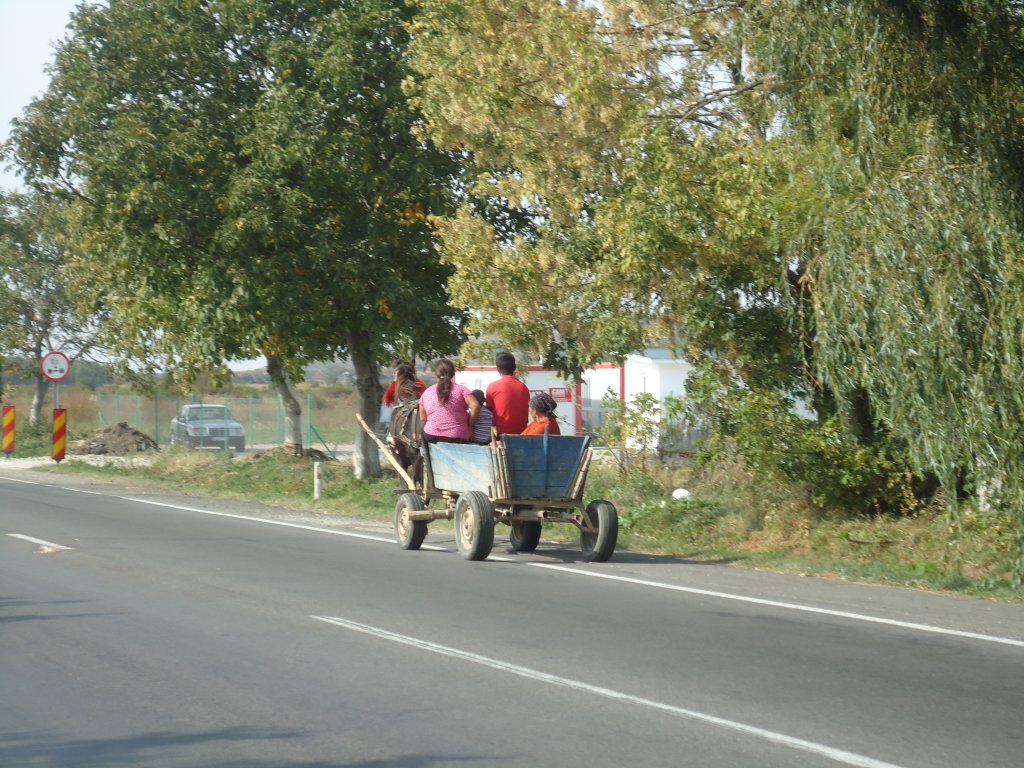 (136'548) - Eselfuhrwerk in Rumnien am 6. Oktober 2011