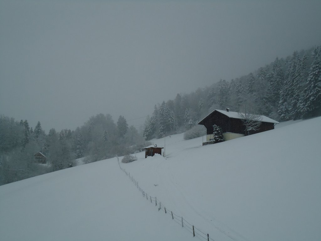 (137'603) - Wintermorgen am 21. Januar 2012 in Egg/Bregenzerwald