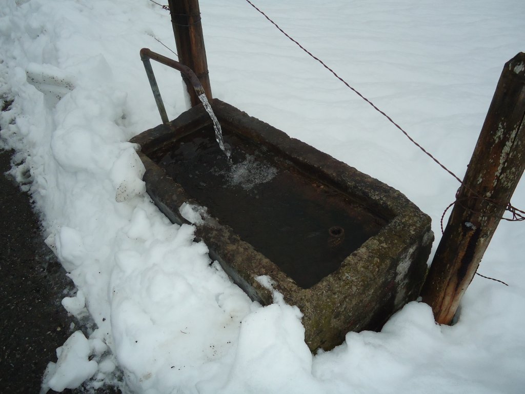 (137'615) - Brunnen am 21. Januar 2012 in Egg/Bregenzerwald