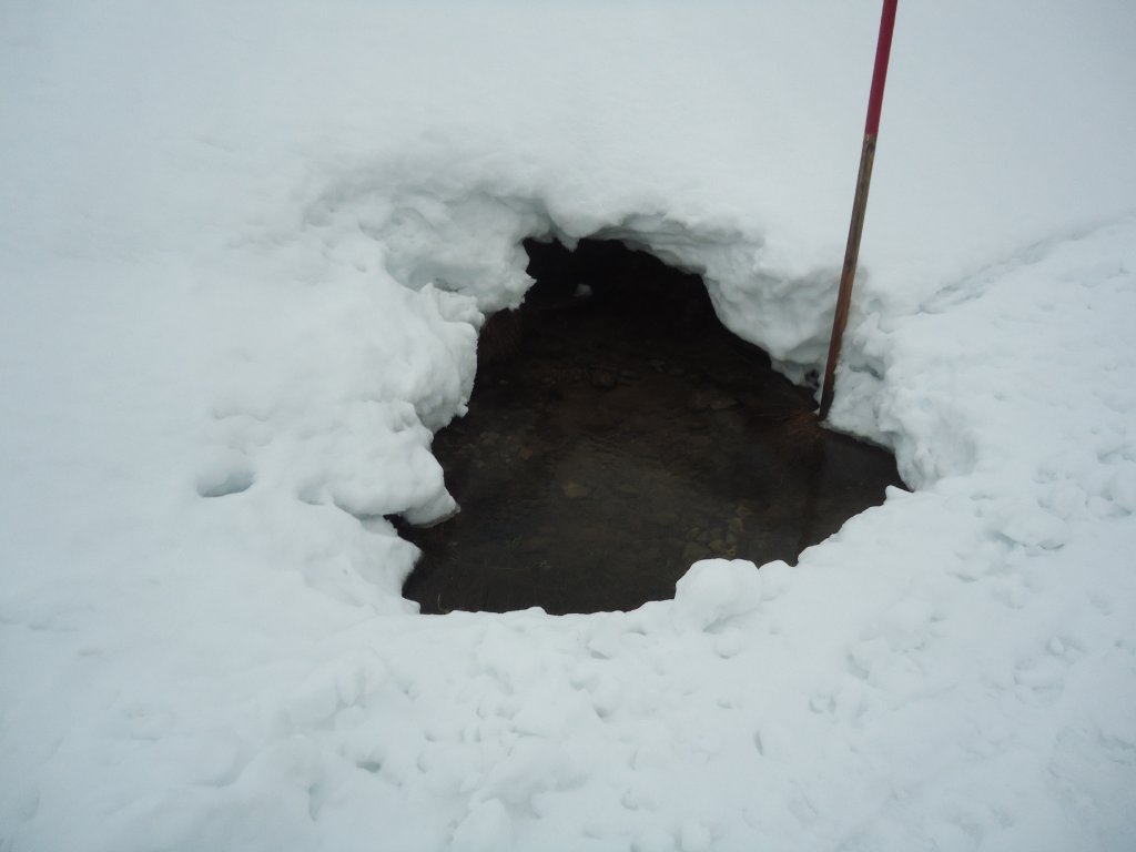 (137'629) - Wasser im Schnee am 22. Januar 2012 in Egg/Bregenzerwald