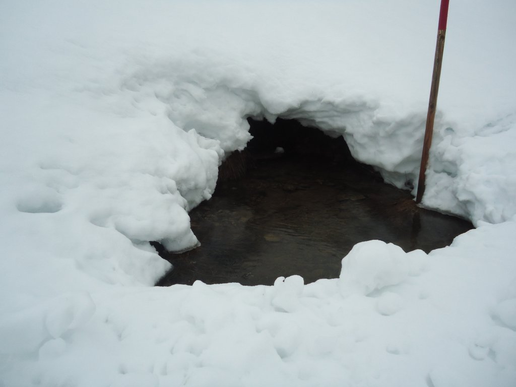 (137'630) - Wasser im Schnee am 22. Januar 2012 in Egg/Bregenzerwald