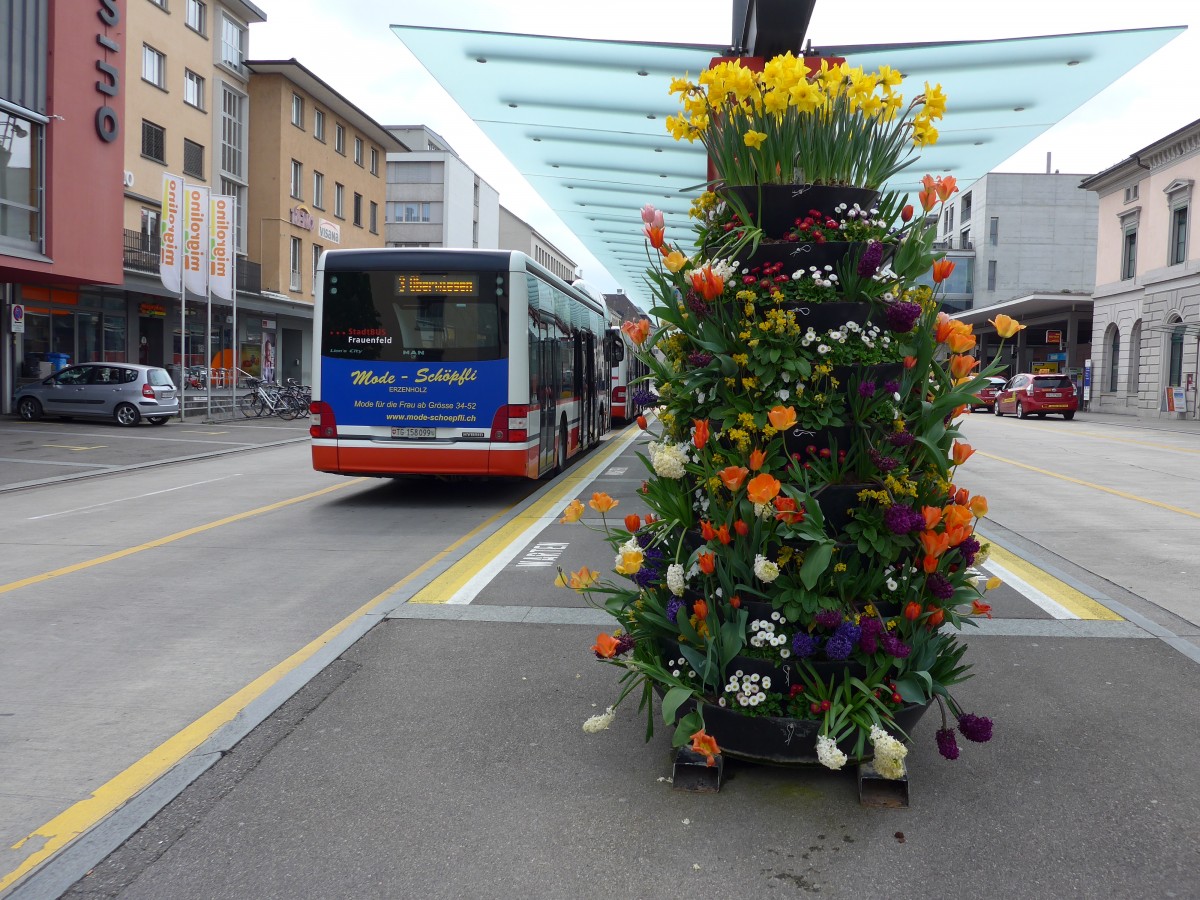 (149'715) - Blumenschmuck beim Bahnhof Frauenfeld am 21. April 2014