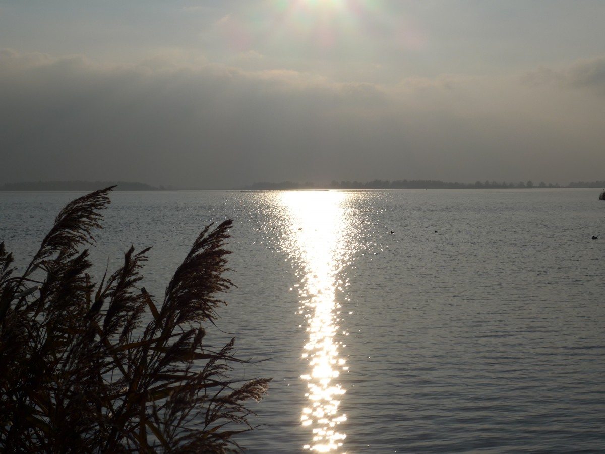 (156'862) - Sonnenlicht auf dem Wattenmeer am 19. November 2014 im Nationalpark von Lauwersmeer