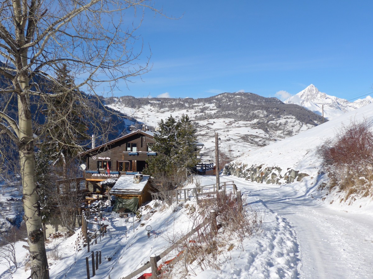 (158'433) - Das Restaurant Brgji-Alp mit dem Matterhorn am 18. Januar 2015 bei Grchen
