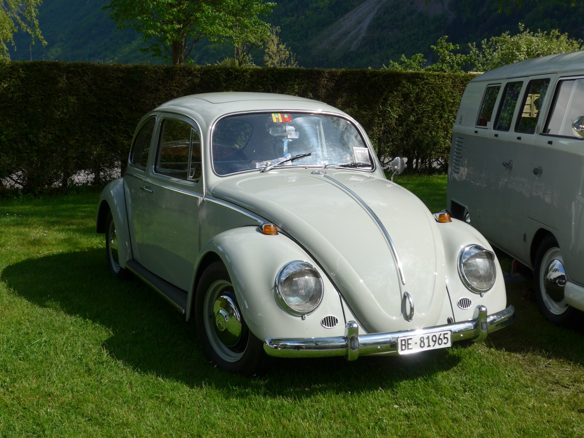 (160'236) - VW-Kfer - BE 81'965 - am 9. Mai 2015 in Brienz, Camping Aaregg