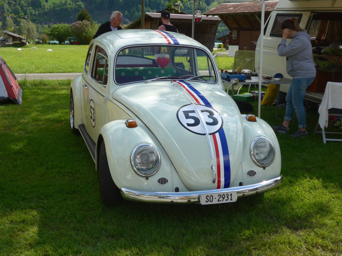 (160'244) - VW-Kfer - SO 2931 - am 9. Mai 2015 in Brienz, Camping Aaregg
