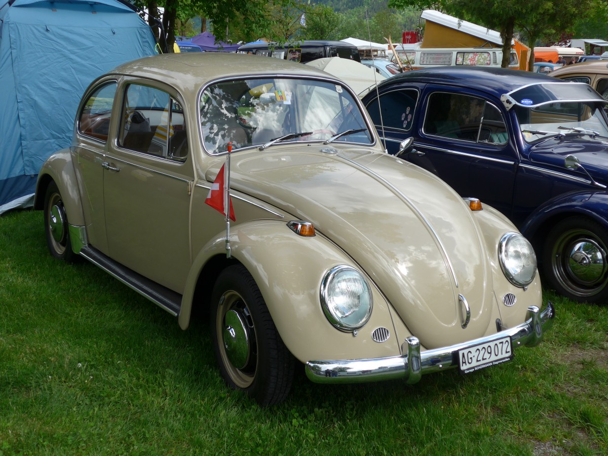 (160'269) - VW-Kfer - AG 229'072 - am 9. Mai 2015 in Brienz, Camping Aaregg