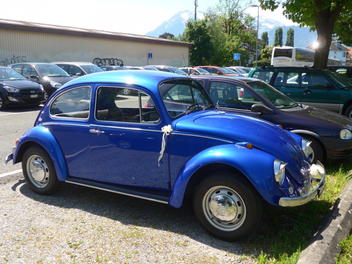 (161'427) - VW-Kfer - BE 795 U - am 29. Mai 2015 in Thun, Seestrasse