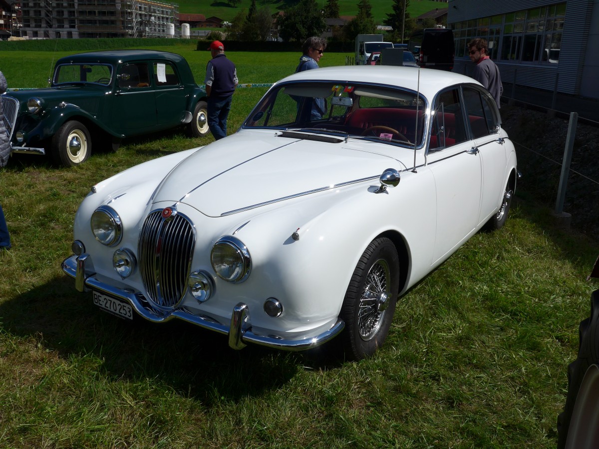 (164'514) - Jaguar - BE 270'253 - am 6. September 2015 in Reichenbach