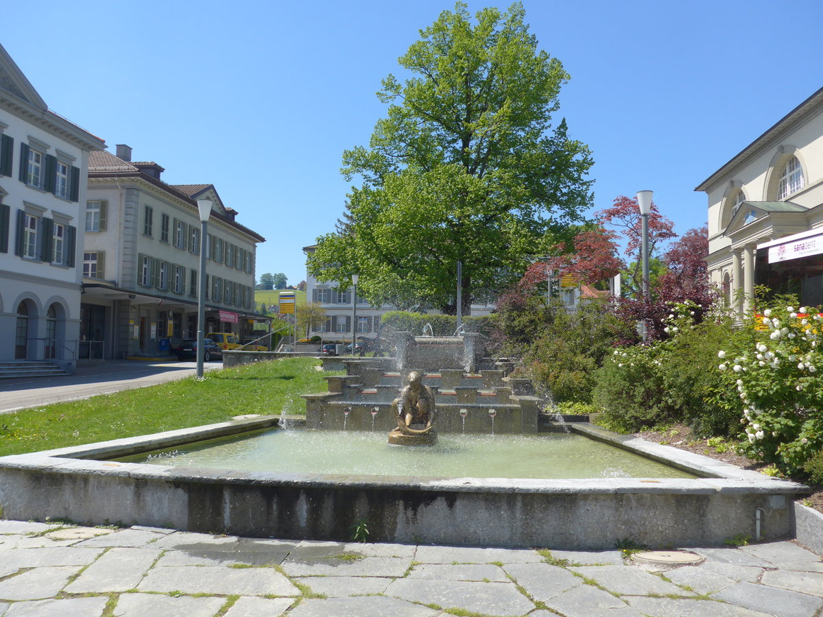 (180'357) - Brunnen am 22. Mai 2017 in Heiden