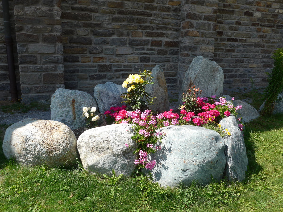 (184'217) - Blumen bei der Kirche am 25. August 2017 in Saas-Grund