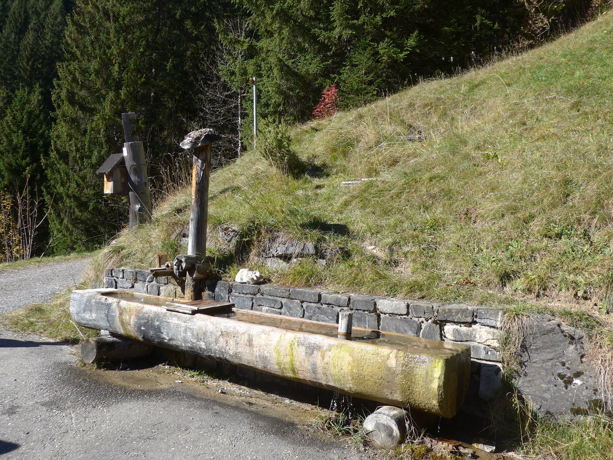 (185'825) - Holzbrunnen am 15. Oktober 2017 oberhalb Adelboden