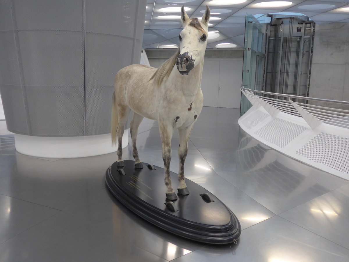 (186'304) - Das Pferd wurde vom Automobil abgelst am 12. November 2017 in Stuttgart, Mercedes-Benz Museum