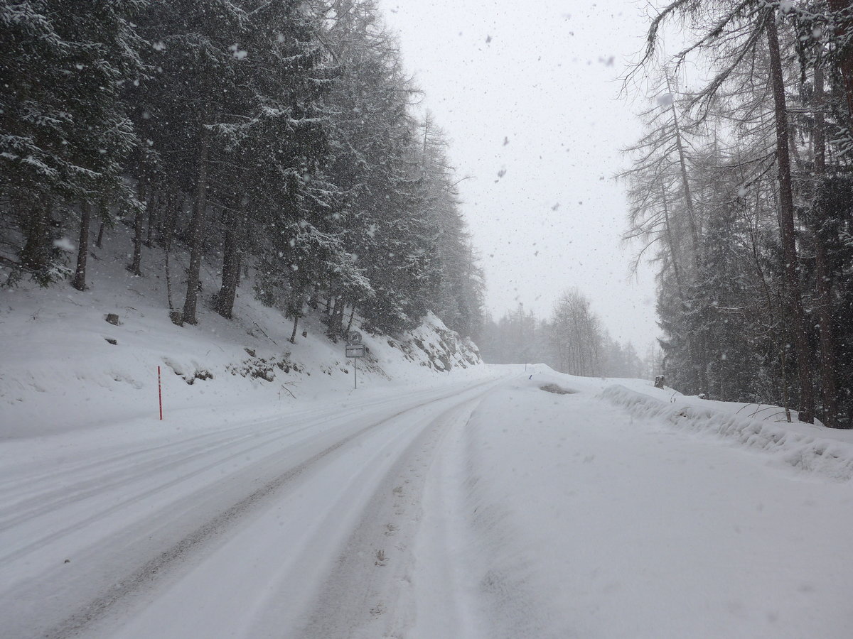 (188'388) - Schnee am 11. Februar 2018 bei Mayens-de-Sion