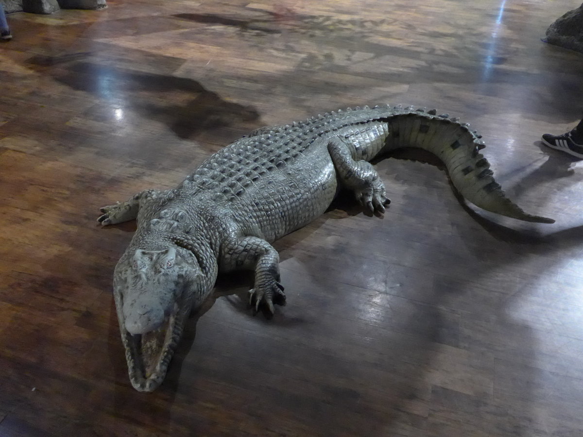(190'448) - Ein Krokodil (nicht lebendig) im Sea Life am 19. April 2018 in Melbourne