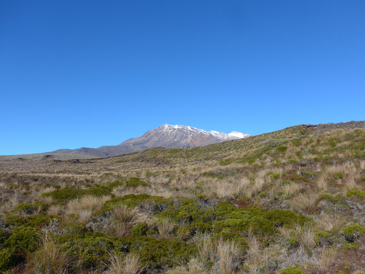 (191'366) - Im Tongariro-Nationalpark am 25. April 2018 bei Whakapapa