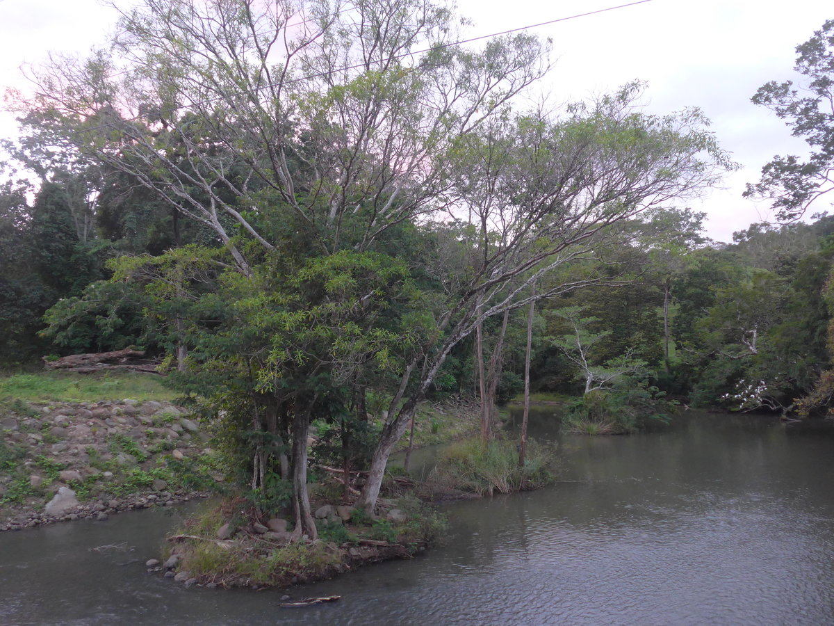 (211'948) - Bauminseln im Rio Sapoa am 21. November 2019 in La Cruz, Caas Castilla