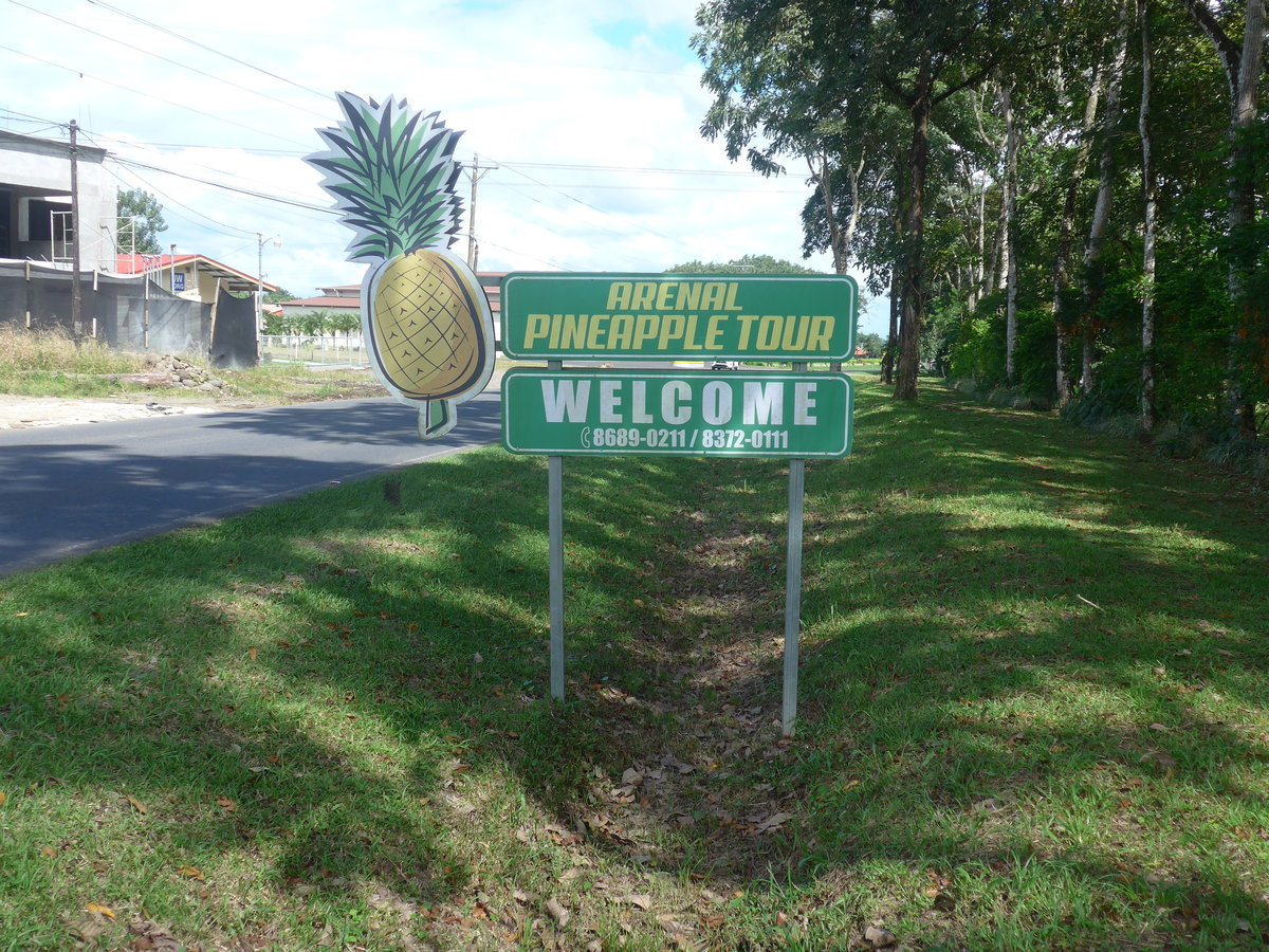 (212'328) - Schild zur Arenal Pineapple Tour am 24. November 2019 in La Fortuna