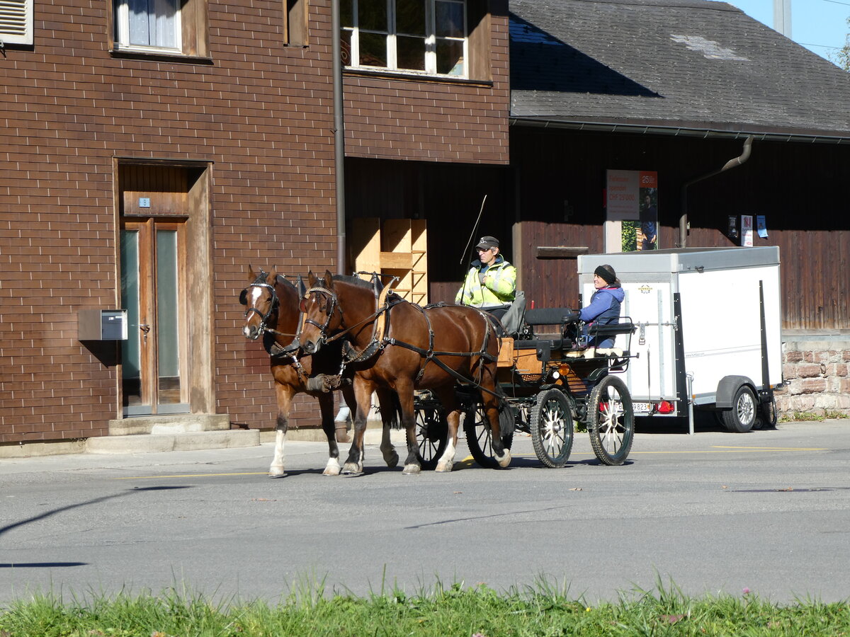 (229'855) - Pferdekutsche am 24. Oktober 2021 beim Bahnhof Wimmis