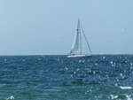 (254'678) - Segelboot auf der Ostsee am 2. September 2023 bei Kloster