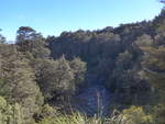 (191'324) - Wald und Bergbach im Tongariro-Nationalpark am 25.