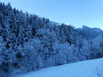 baume/798486/243620---verschneiter-wald-am-8 (243'620) - Verschneiter Wald am 8. Dezember 2022 bei Riemenstalden