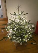 baume/907875/283396---weihnachtsbaum-am-21-dezember (283'396) - Weihnachtsbaum am 21. Dezember 2025 in Steffisburg