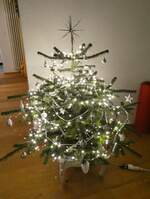 baume/907876/283397---weihnachtsbaum-am-21-dezember (283'397) - Weihnachtsbaum am 21. Dezember 2025 in Steffisburg