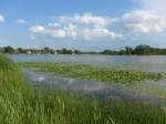 blumen/368679/152691---seerosen-im-lily-lake (152'691) - Seerosen im Lily Lake am 13. Juli 2014
