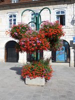 (173'555) - Blumenarragement am 1. August 2016 in Pontarlier