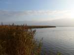 graser/405326/156861---schilf-am-wattenmeer-am (156'861) - Schilf am Wattenmeer am 19. November 2014 im Nationalpark von Lauwersmeer