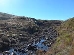 fluesse-4/619198/191369---kleiner-bergbach-im-tongariro-nationalpark (191'369) - Kleiner Bergbach im Tongariro-Nationalpark am 25. April 2018 bei Whakapapa