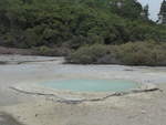 (191'126) - Der Oyster Pool im Wai-O-Tapu Thermal Wonderland am 23.