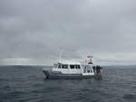 seen/618498/191244---motorschiff-top-cat-auf (191'244) - Motorschiff Top Cat auf dem Lake Taupo am 24. April 2018 bei Taupo