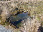 seen/619288/191390---mini-seelein-im-tongariro-nationalpark-am (191'390) - Mini-Seelein im Tongariro-Nationalpark am 25. April 2018 bei Whakapapa