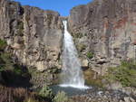 (191'348) - Der Taraniki-Wasserfall am 25.