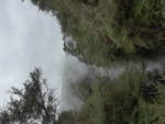 rotorua-4/616530/191018---im-wai-o-tapu-thermal-wonderland (191'018) - Im Wai-O-Tapu Thermal Wonderland am 23. April 2018 bei Rotorua