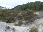 (191'183) - Fluss im Wai-O-Tapu Thermal Wonderland am 23.