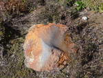(191'359) - Rostroter Stein im Tongariro-Nationalpark am 25.