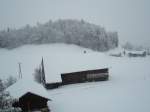 (137'601) - Wintermorgen am 21. Januar 2012 in Egg/Bregenzerwald