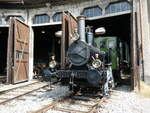 (236'774) - Zahnrad-Dampflokomotive am 5. Juni 2022 in Brugg, Bahnpark