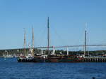 (254'698) - Segelschiffe am 2. September 2023 im Hafen von Stralsund