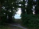 seen/516209/173049---blick-auf-den-neuenburgersee (173'049) - Blick auf den Neuenburgersee am 15. Juli 2016 bei Yvonand