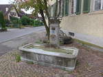 Brunnen/569248/181921---schulhaus-brunnen-von-1889-am (181'921) - Schulhaus-Brunnen von 1889 am 10. Juli 2017 in Volketswil