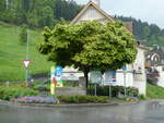 Brunnen/814793/250106---baum-und-brunnen-am (250'106) - Baum und Brunnen am 16. Mai 2023 in Walzenhausen