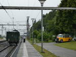 (236'808) - UBB-Dampftriebwagen - Nr. 31 - am 5. Juni 2022 im Bahnhof Hendschiken