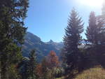 Adelboden/592330/185836---das-tschingellochtighorn-von-der (185'836) - Das Tschingellochtighorn von der oberen Fluhweide aus am 15. Oktober 2017 oberhalb Adelboden
