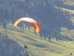 (185'860) - Gleitschirmflieger am 15. Oktober 2017 am Tschenten oberhalb Adelboden